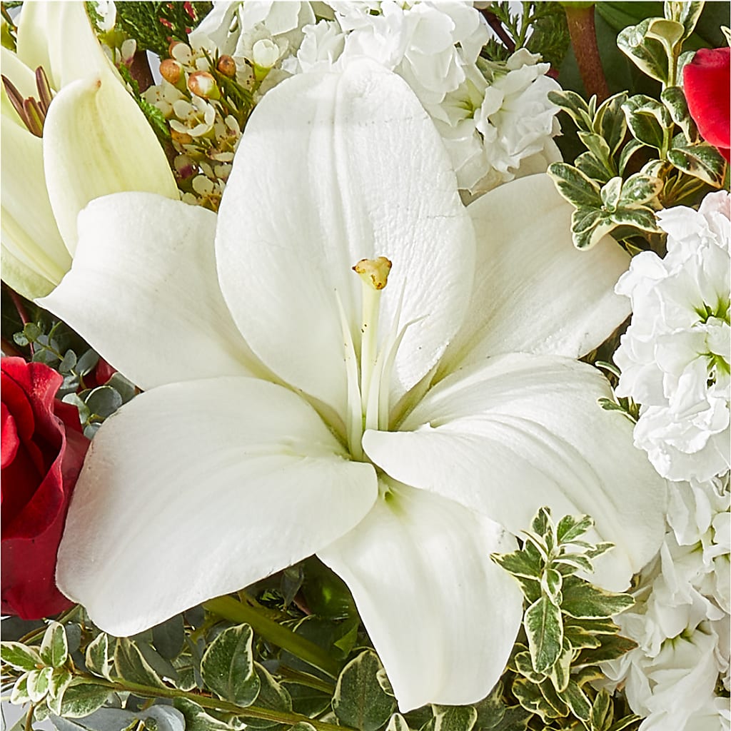 Twinkle Lights Bouquet –  Flowers And Decor Same Day, Vero Beach FL
