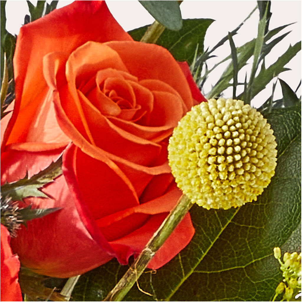 Disco Bouquet –  Flowers And Decor Same Day, Vero Beach FL