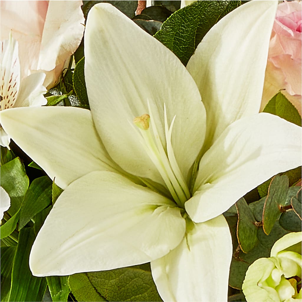 Ballet Slippers Bouquet –  Flowers And Decor Same Day, Vero Beach FL