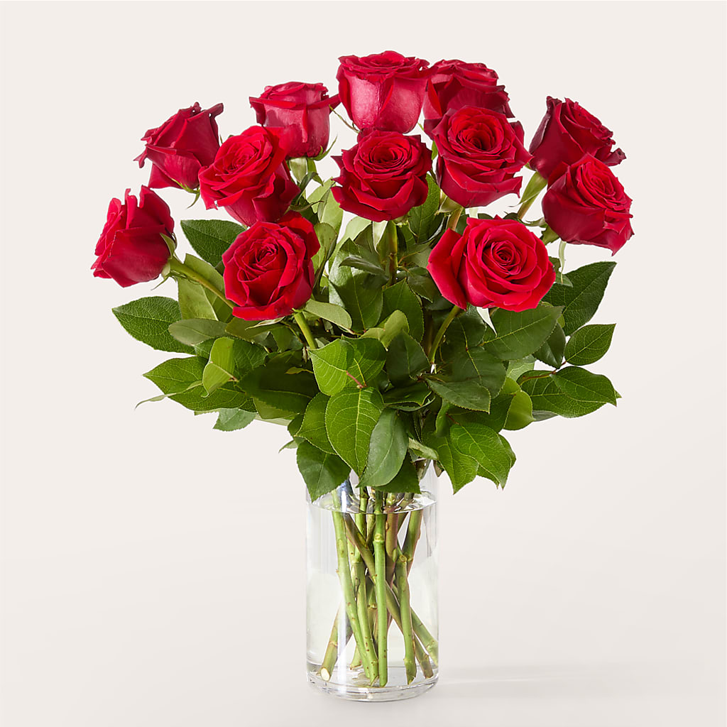 The One Red Rose Bouquet –  Flowers And Decor Same Day, Vero Beach FL