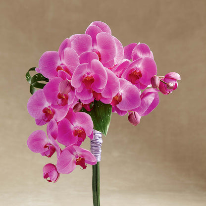 Glorious Bouquet –  Flowers And Decor Same Day, Vero Beach FL