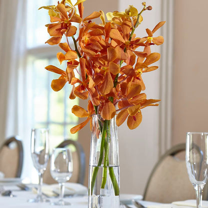 Orange Mokara Bud Vase –  Flowers And Decor Same Day, Vero Beach FL