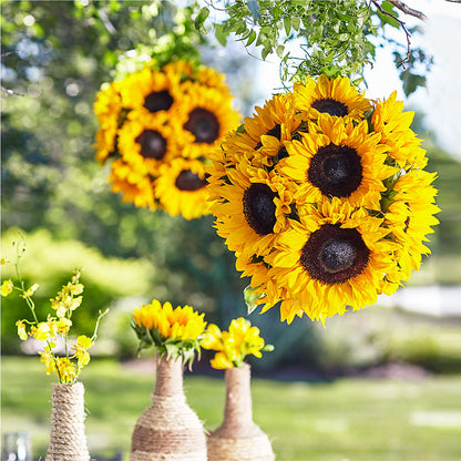 Sublime Garden Hanging Arrangement –  Flowers And Decor Same Day, Vero Beach FL