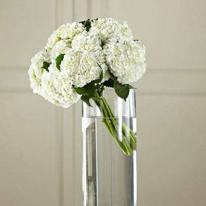 White Hydrangea Hand-Tied Bouquet –  Flowers And Decor Same Day, Vero Beach FL