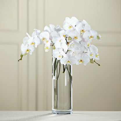 White Phalaenopsis Bouquet –  Flowers And Decor Same Day, Vero Beach FL