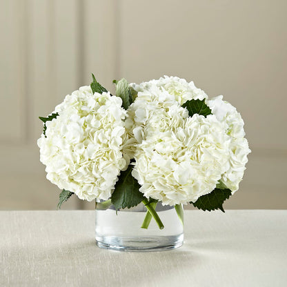White Hydrangea Bouquet –  Flowers And Decor Same Day, Vero Beach FL